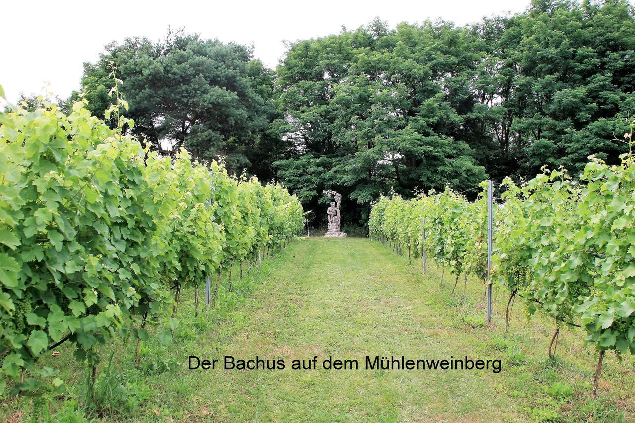 Ferienappartements Am Weinberg Bestensee Esterno foto